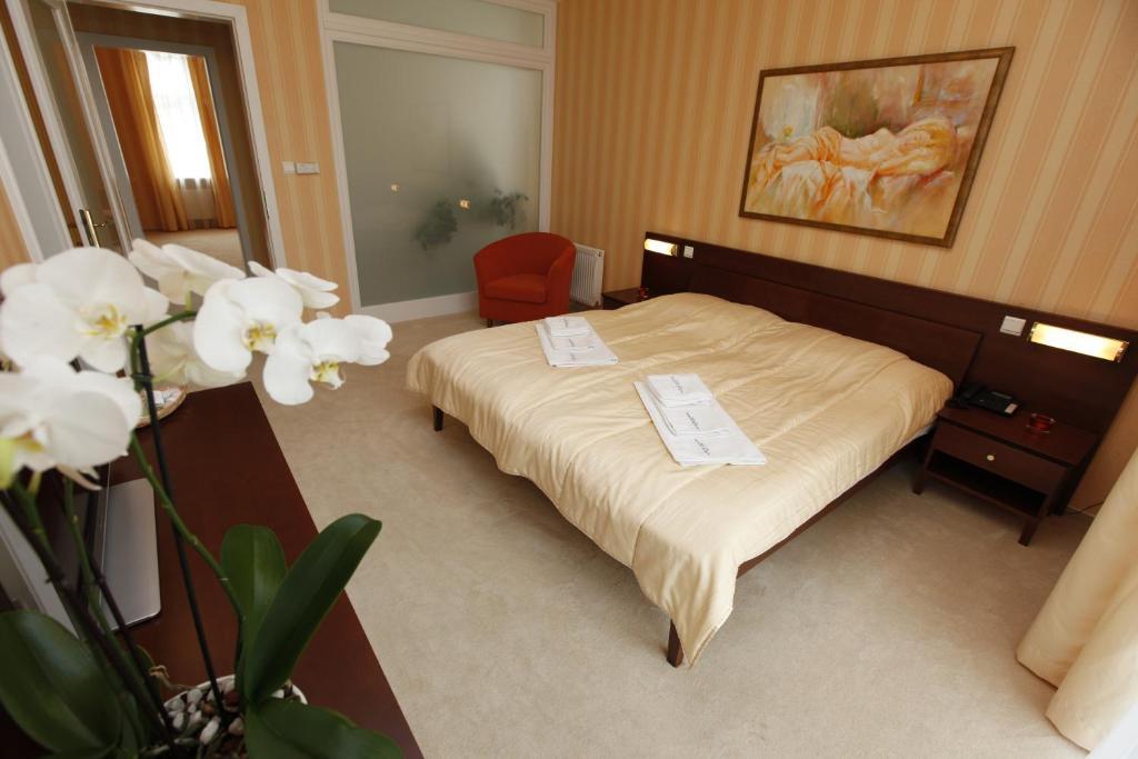 Hotel Sandor Pavillon Piest'any Habitación foto